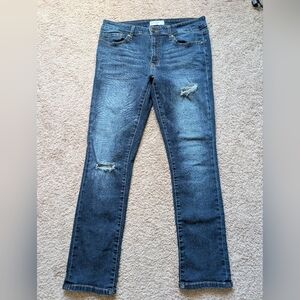 Distressed Blue Skinny Jeans